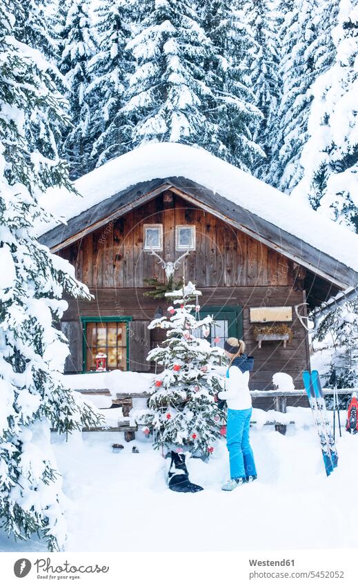 Austria, Altenmarkt-Zauchensee, woman decorating Christmas tree at hut frame house wooden houses framehouses decorate females women X-Mas yule Xmas X mas snow