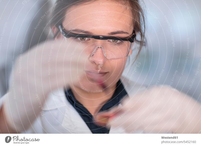 Scientist working in lab with a petri dish laboratory test testing science sciences scientific female scientists At Work workplace work place place of work