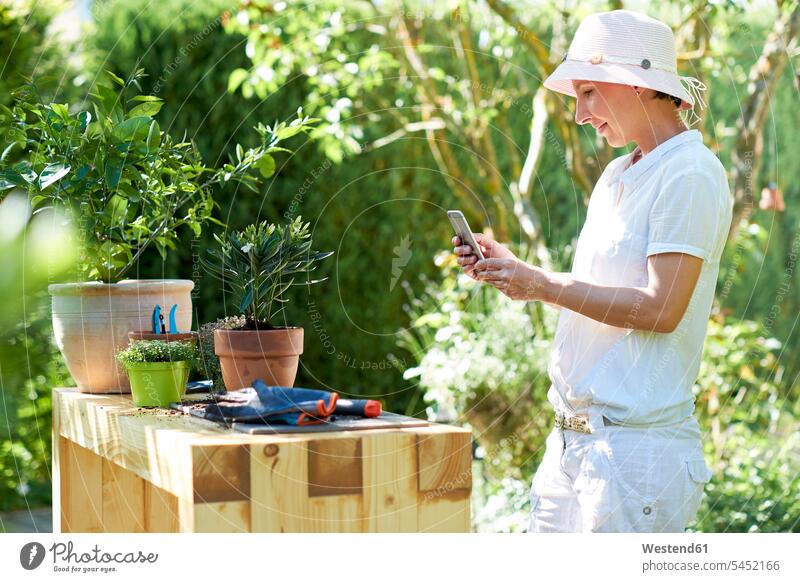 Woman taking cell phone picture of potted oleander at table in garden planting photographing woman females women gardens domestic garden Smartphone iPhone