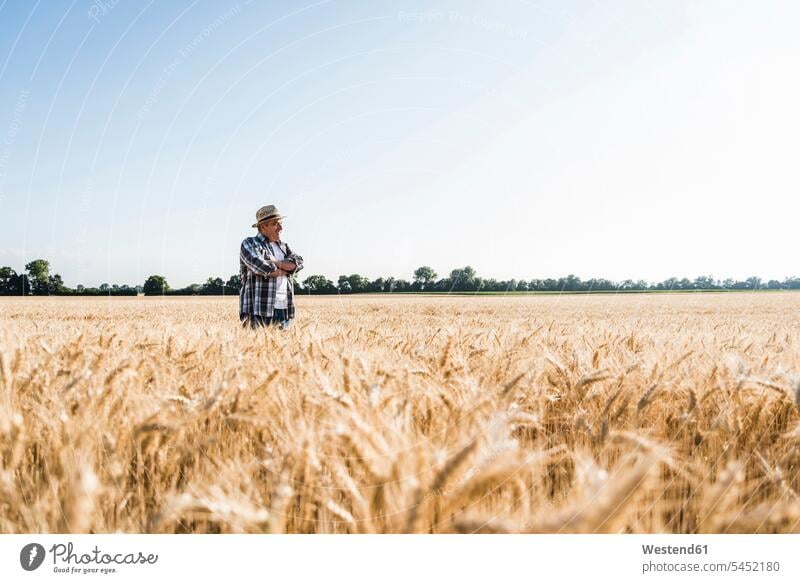 Happy senior farmer standing in wheat field agriculturists farmers agriculture man men males Field Fields farmland watching looking looking at senior men
