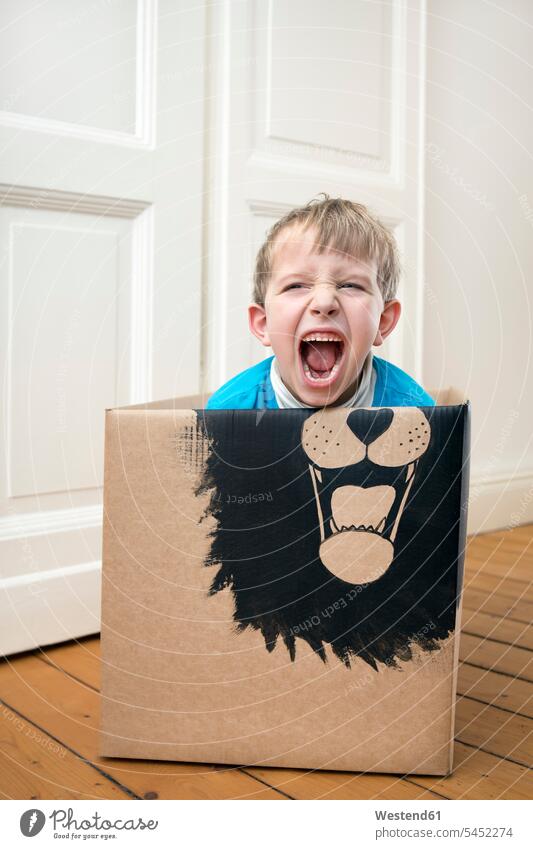 Roaring boy inside a cardboard box painted with a lion Cardboard Carton carton cardboard boxes Cardboards cartons boys males playing screaming shouting child
