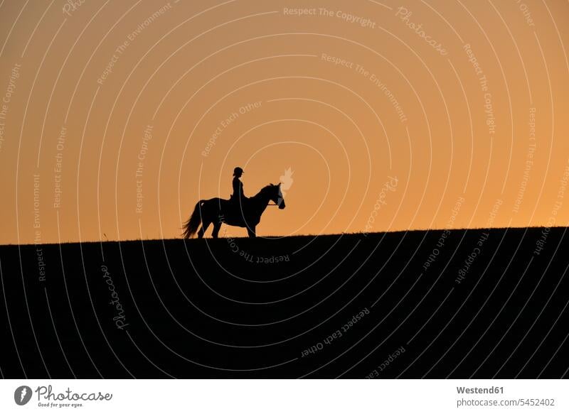Silhouette of female rider at sunset copy space sunsets sundown Teenage Girls female teenagers leisure free time leisure time horse riding equistry equitation