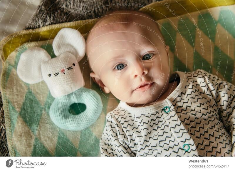 Baby and rattle toy as seen from above portrait portraits baby infants nurselings babies lying laying down lie lying down people persons human being humans