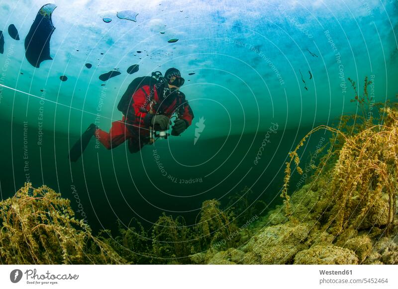 Austria, Styria, Lake Grundlsee, scuba diver under ice floe underwater submerged Under Water underwater shot underwater shots divers Underwater Diving