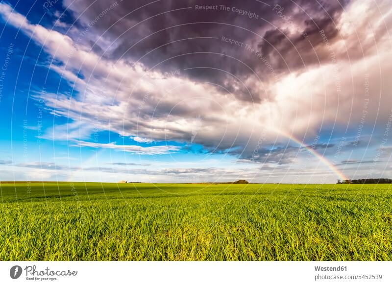 UK, Scotland, East Lothian, rainbow over field nobody cloudy cloudiness clouds horizon copy space horizons agriculture Field Fields farmland rain cloud