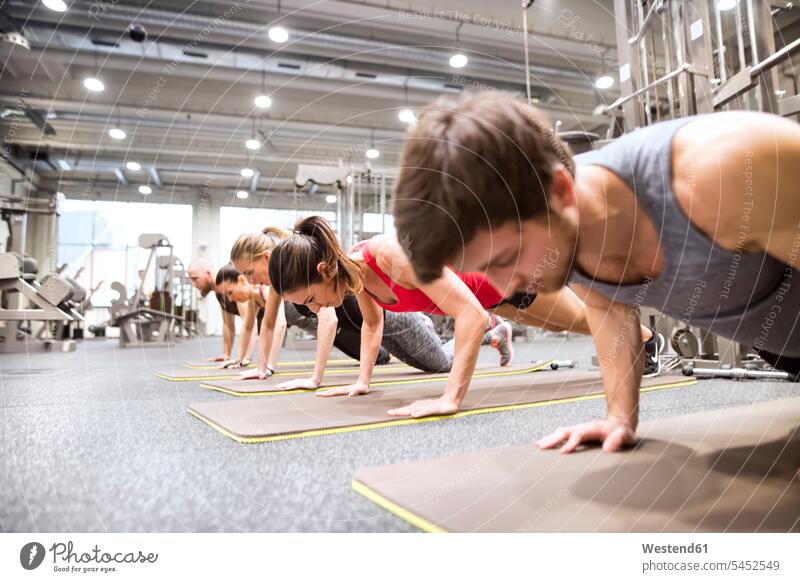 Group of athletes exercising in gym gyms Health Club pushup Push-up Push-ups pushups press-up press-ups Push Up Push Ups exercise training practising fitness