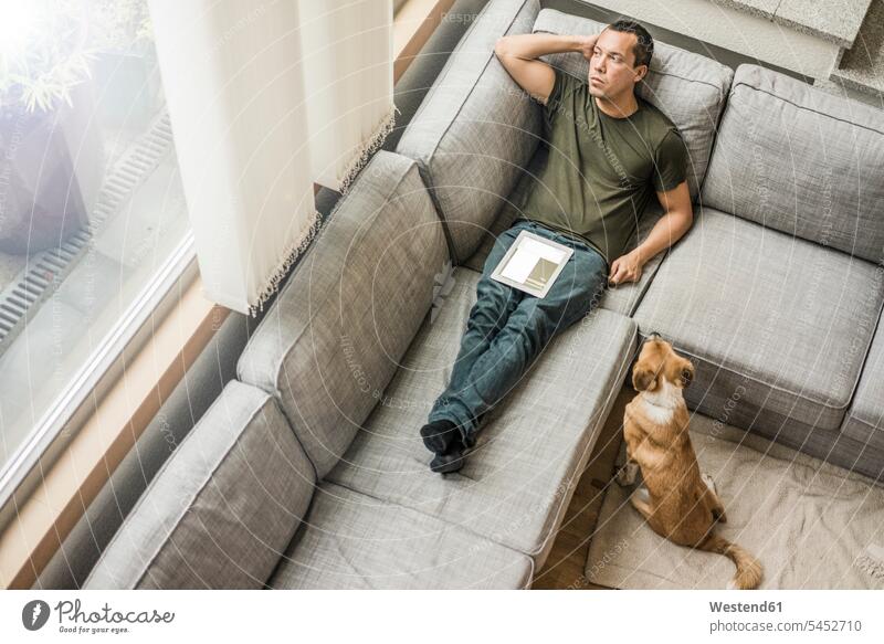 Man at home with tablet on the couch with dog beside him settee sofa sofas couches settees digitizer Tablet Computer Tablet PC Tablet Computers iPad