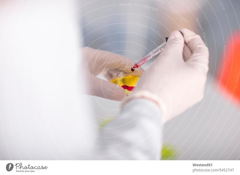 Scientist working in lab with pipet and petri dish laboratory petri dishes pipette dropper pipets pipettes science sciences scientific At Work scientist test