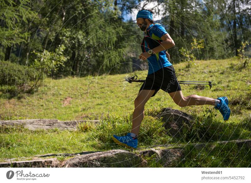 Italy, Alagna, trail runner on the move in forest athlete Sportspeople Sportsman Sportsperson athletes Sportsmen mountain mountains males running woods forests