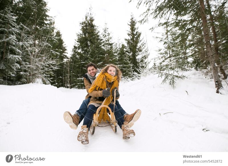Happy young couple on sledge in winter forest tobogganing sledding twosomes partnership couples sledges people persons human being humans human beings snow