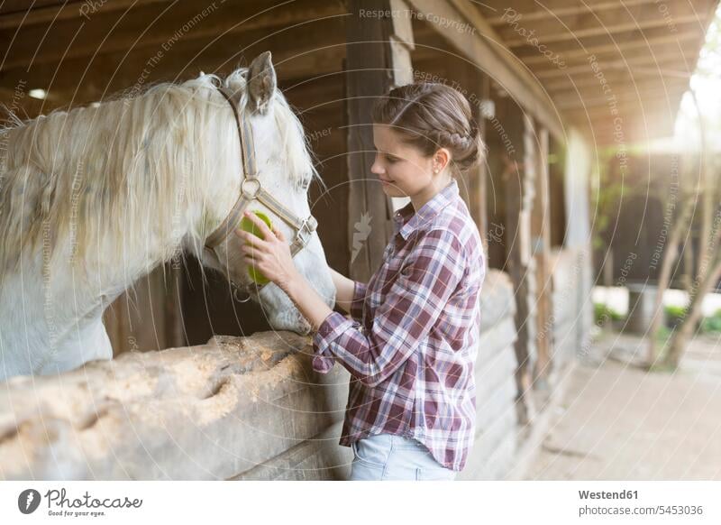 Smiling woman caring for a horse on a farm females women equus caballus horses Care care smiling smile Adults grown-ups grownups adult people persons