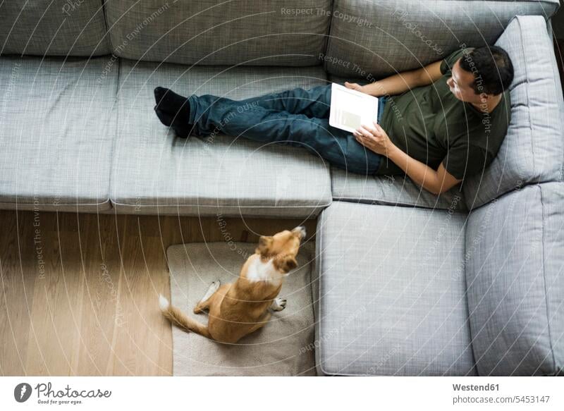 Man at home using tablet on the couch with dog beside him relaxed relaxation man men males digitizer Tablet Computer Tablet PC Tablet Computers iPad