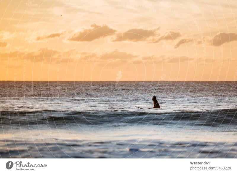 Surfer in the water at sunset surfer female surfer surfers female surfers surfboard surfboards sea ocean surfing surf ride surf riding Surfboarding water sports