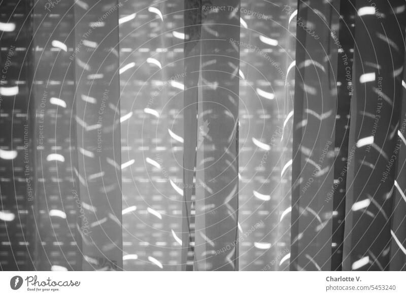 Light and shadow | directional reflections on a curtain Shadow Curtain Drape Window Living or residing Sunlight Interior shot Screening Decoration