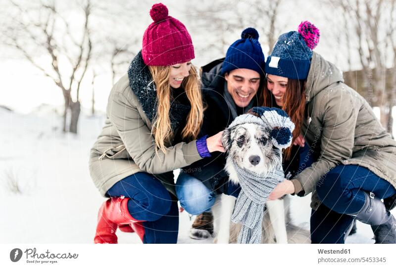 Three friends having fun their border collie in the snow dog dogs Canine playing winter hibernal Fun funny pets animal creatures animals friendship weather