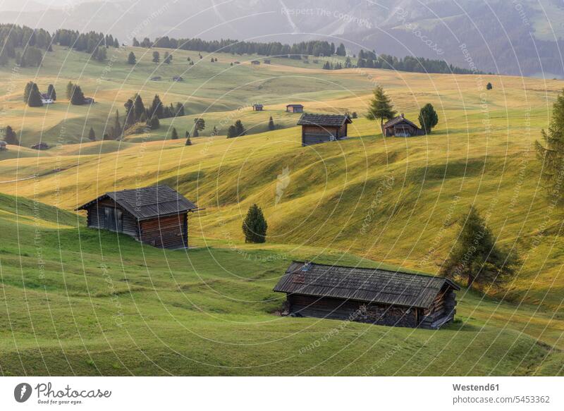 Italy, South Tyrol, Seiser Alm, barns in the morning mountain pasture morning light nature natural world mountains outdoors outdoor shots location shot
