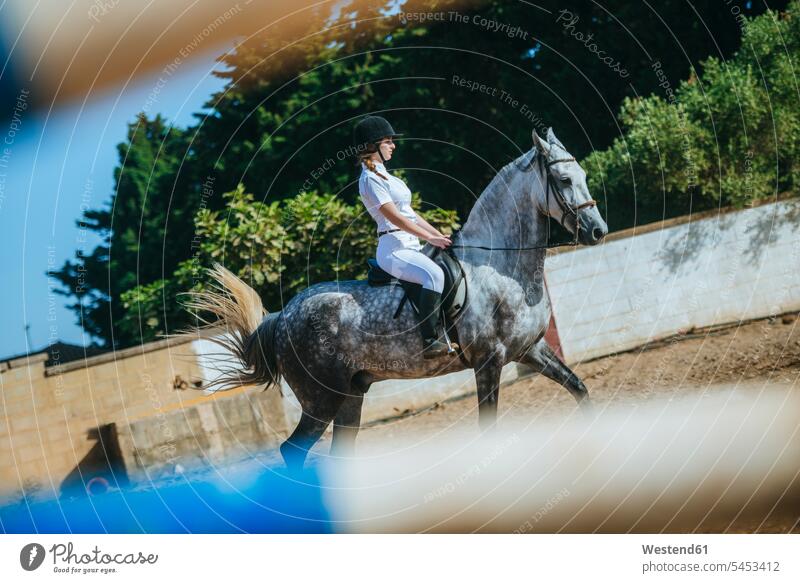 Young woman riding on horse horse riding equistry equitation Equestrian horseback riding rider riders female rider horsewoman female rides horsewomen