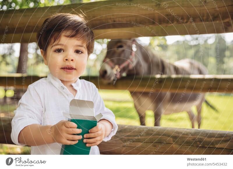 Portrait of toddler with box of animal food in wild park portrait portraits boy boys males wildlife park wildlife parks child children kid kids people persons