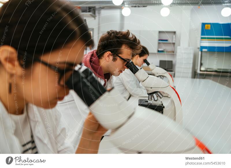 Laboratory technicians using microscopes in lab examining checking examine laboratory working At Work laboratory technician Lab Tech examination examinations