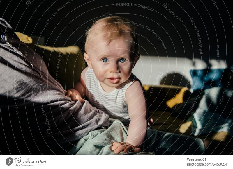 Portrait of baby boy on couch baby boys male portrait portraits infants nurselings babies people persons human being humans human beings settee sofa sofas
