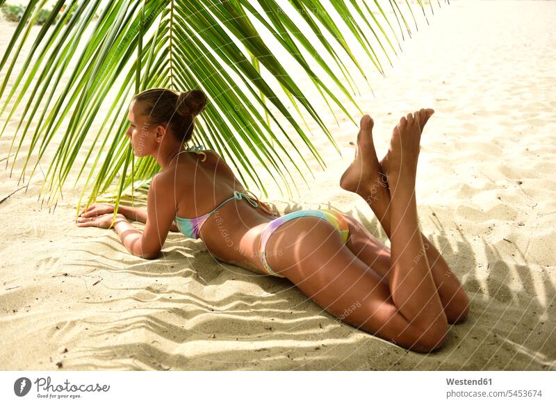 Beautiful young woman lying under palm tree on the beach females women laying down lie lying down beaches Adults grown-ups grownups adult people persons