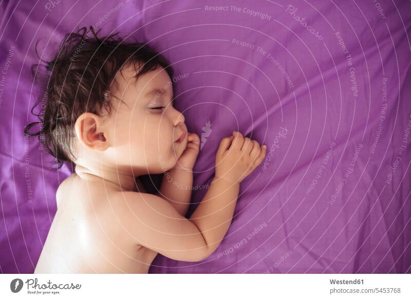 Sleeping baby girl on purple bed sheet baby girls female babies infants people persons human being humans human beings lying laying down lie lying down tired