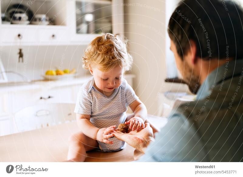 Father with little boy sitting on kitchen table examining walnut baby infants nurselings babies father pa fathers daddy dads papa Walnut Walnuts juglans regia