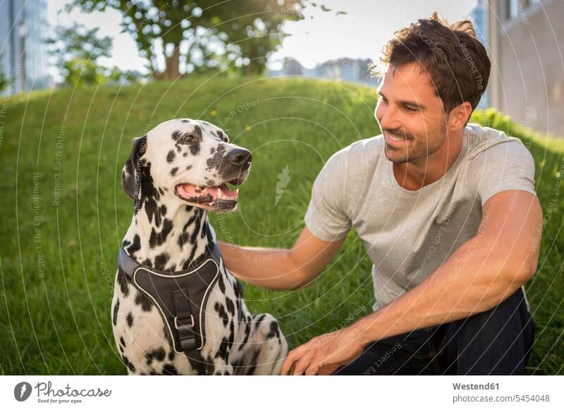 Man petting Dalmatian in a park man men males smiling smile summer summer time summery summertime Dalmatian Dog parks stroking Adults grown-ups grownups adult
