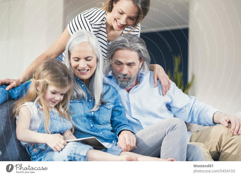 Family sitting on couch, watching granddaughter use tablet pc family families settee sofa sofas couches settees home at home Seated learning together digitizer