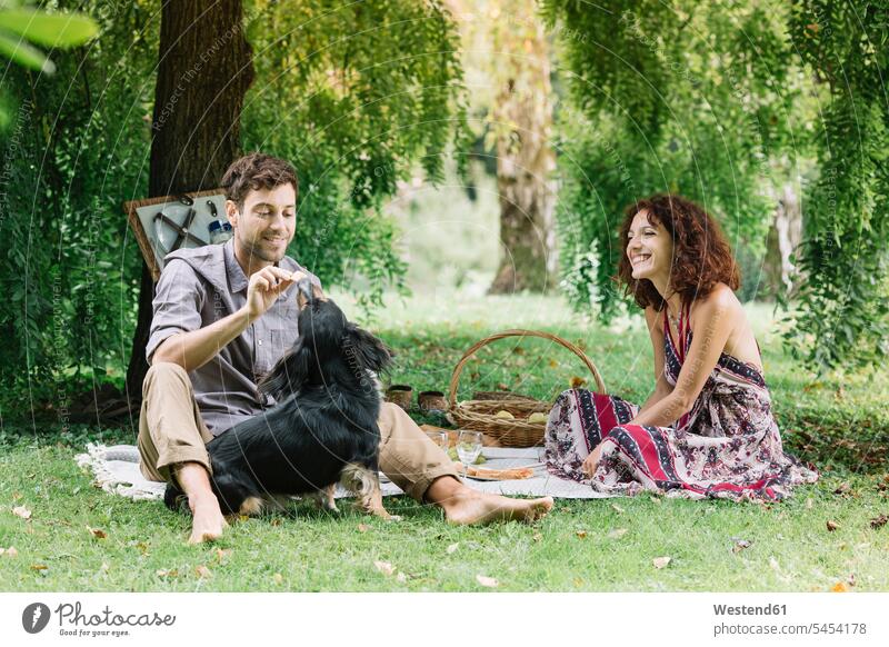 Couple with dog having a picnic in a park dogs Canine parks couple twosomes partnership couples Picnic picnicking smiling smile pets animal creatures animals