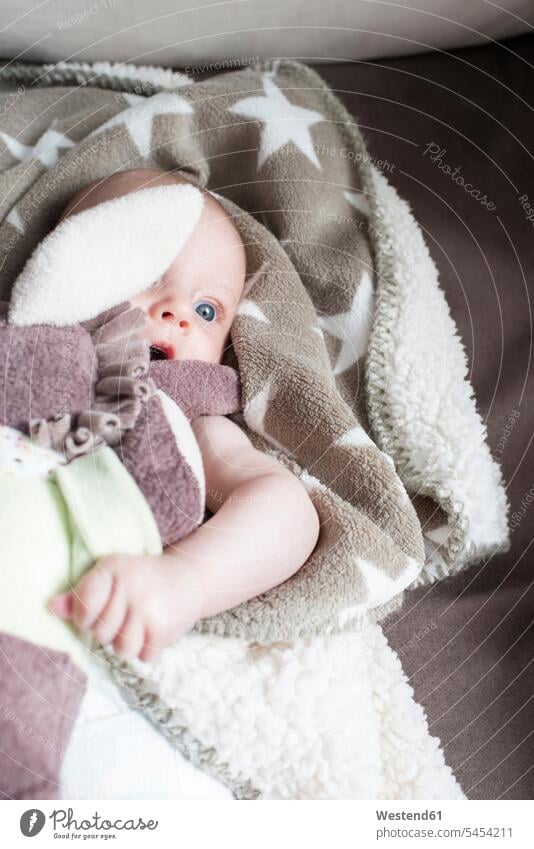 Portrait of baby girl wrapped in blanket lying on a couch baby girls female infants nurselings babies people persons human being humans human beings Wrapped Up