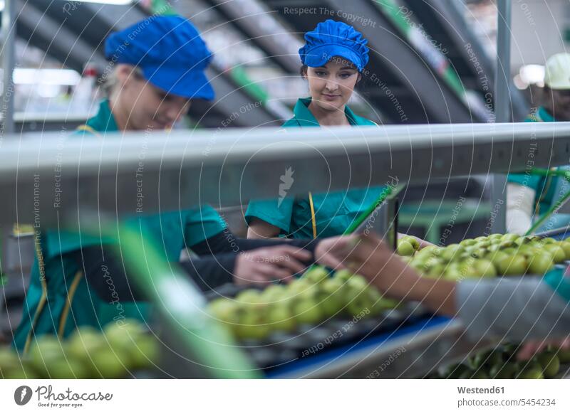 Two women working in apple factory Apple Apples At Work woman females industry industrial Fruit Fruits Food foods food and drink Nutrition Alimentation
