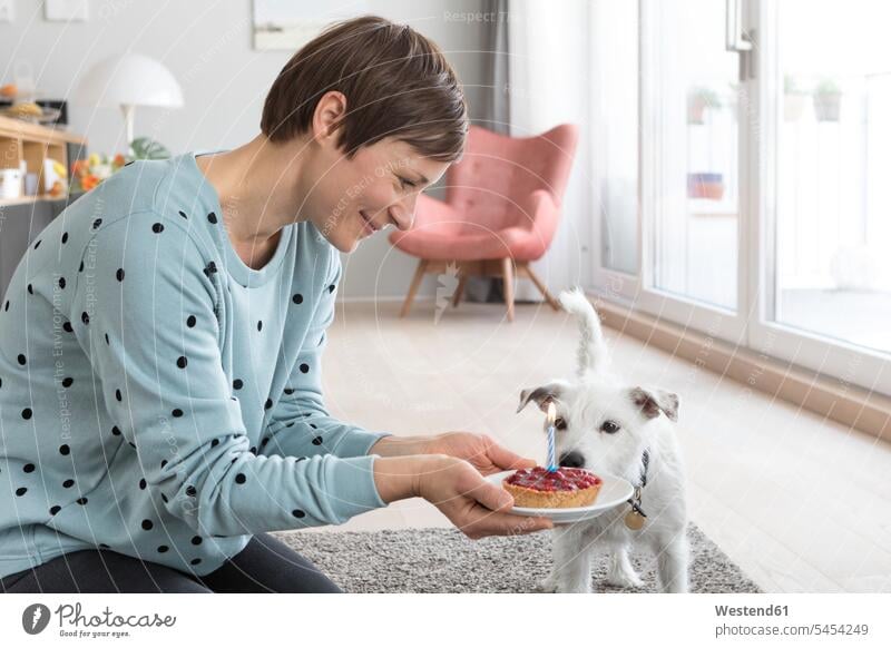 Smiling woman presenting her dog a birthday cake dogs Canine females women pets animal creatures animals Adults grown-ups grownups adult people persons