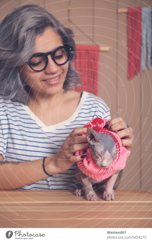 Woman putting pink pullover on her Sphynx cat at home smiling smile woman females women cats sweater jumper Sweaters Adults grown-ups grownups adult people