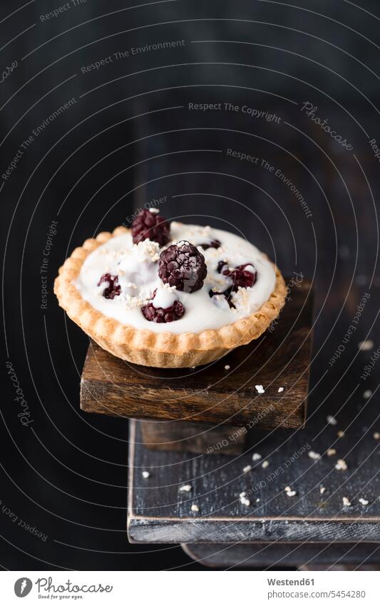 Tartlet with natural yoghurt filling, blackberries and popped amarant Pastry Pastries popped amaranth puffed amarant puffed amaranth copy space amarathus