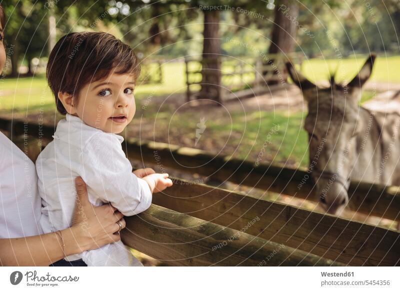 Portrait of toddler being held by his mother in a wildpark wildlife park wildlife parks portrait portraits boy boys males child children kid kids people persons
