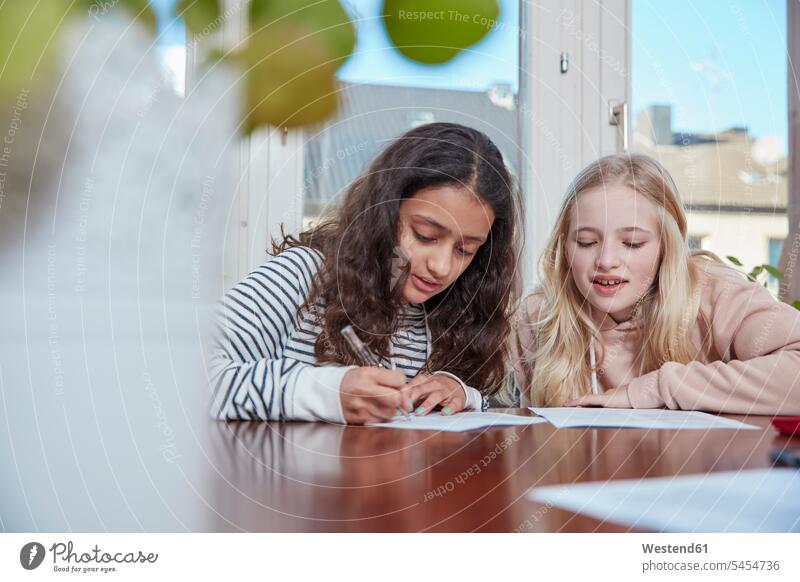 Two girls doing homework together writing write female friends females Home work mate friendship child children kid kids people persons human being humans