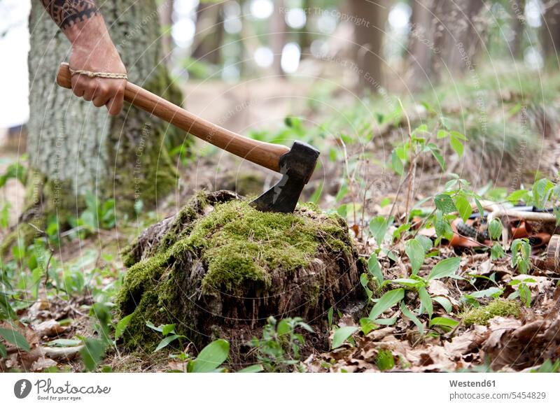 Hand holding axe at tree stump in the forest Tree Stump Tree Stumps woods forests man men males tattoo tattoos Adults grown-ups grownups adult people persons