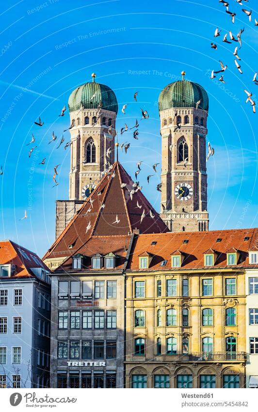 Germany, Munich, view to spires of Cathedral of Our Lady with houses and flight of birds in the foreground behind tower towers downtown Downtown Area