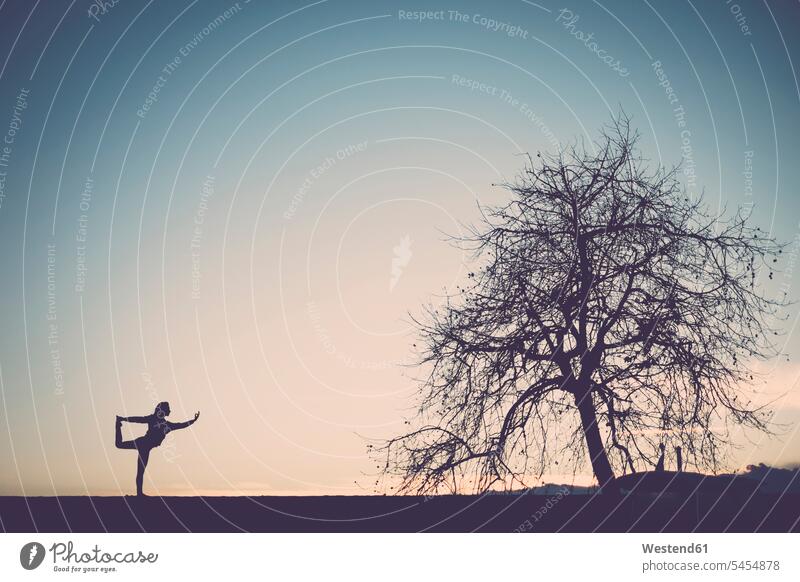 Silhouette of a woman practicing yoga in nature silhouette silhouettes practice practise exercise exercising practising Dancer Position king dancer pose