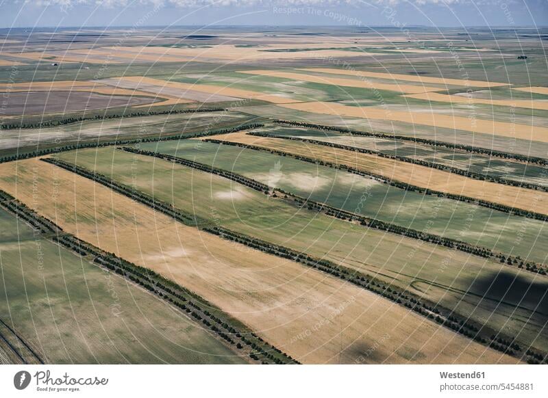 USA, Farm fields with tree beauty strips in Western Nebraska harvest harvesting harvests aerial view aerial photo birds eye view bird's eye views
