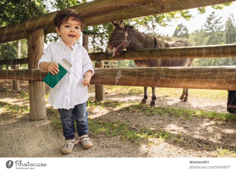 Smiling toddler holding up animal food for donkey in wild park boy boys males portrait portraits wildlife park wildlife parks child children kid kids people