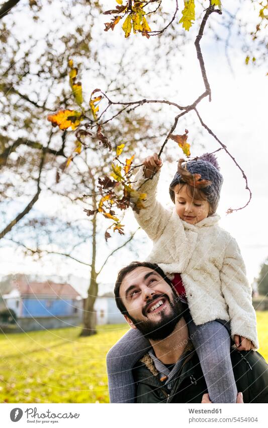 Little girl on shoulders of her father in autumnal park daughter daughters fathers daddy dads papa child children family families people persons human being