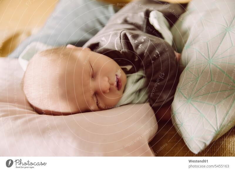 Newborn baby lying and napping on couch between pillows cushion cushions infants nurselings babies laying down lie lying down sleeping asleep people persons