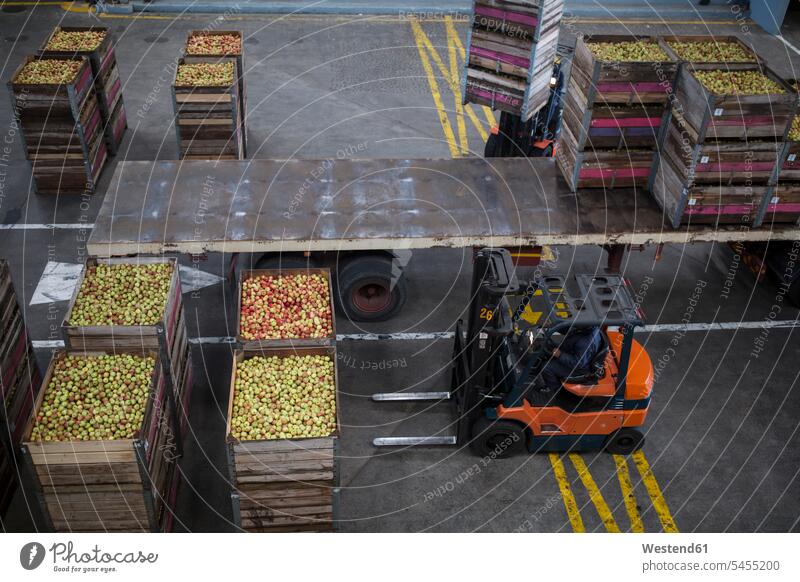 Forklift moving crates with apples freight traffic freight transportation food processing plant large group of objects many objects abundance Plentiful