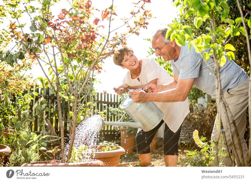 Happy senior couple in garden watering plants together gardens twosomes partnership couples smiling smile people persons human being humans human beings