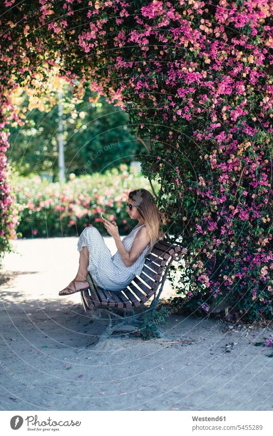 Woman with cell phone sitting on bench in park under pink blossoms flowering blooming Seated benches mobile phone mobiles mobile phones Cellphone cell phones