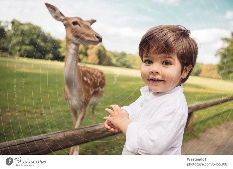 Portrait of happy toddler in a wild park with roe deer in the background wildlife park wildlife parks boy boys males portrait portraits child children kid kids