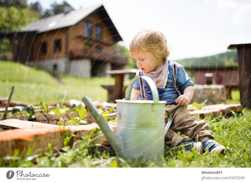 Boy in garden with watering can watering cans gardens domestic garden sitting Seated caucasian caucasian ethnicity caucasian appearance european casual