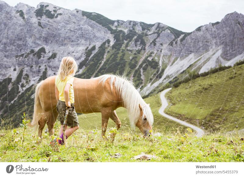 Austria, South Tyrol, young girl with horse on meadow Adventure adventurous Adventures females girls watching looking looking at meadows female hiker
